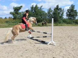 img_3572_web